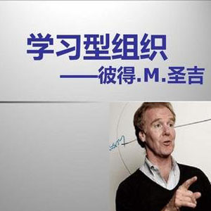 ѧϰ����֯����